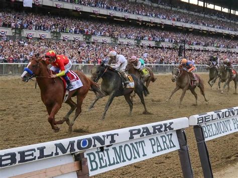 belmont stakes predictions